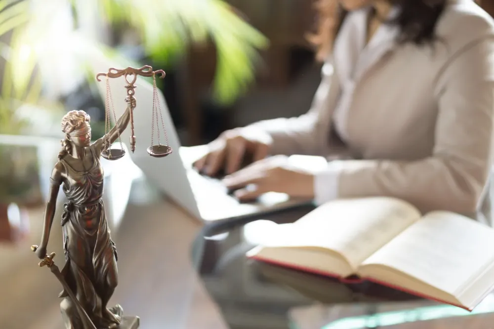 gestion dossier avocate